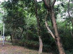 -白鹭湾湿地公园