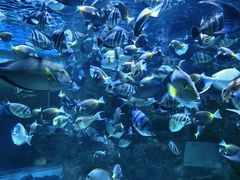 -海合安成都极地海洋公园