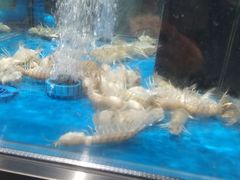 -盒马鲜生(观音桥店)
