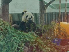 -上海动物园(地铁站)