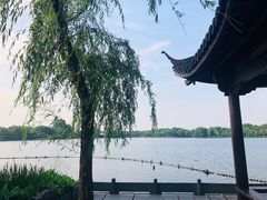 -苏堤停车场