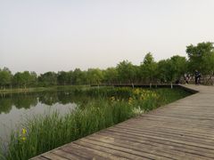 -东郊湿地公园