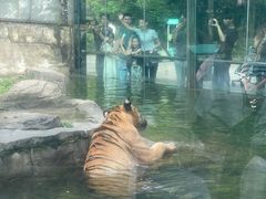 -深圳野生动物园