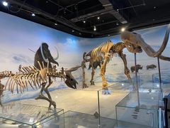 -辽宁古生物博物馆
