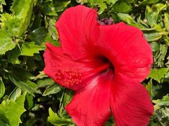 -东北食府·铁锅炖(花溪湾店)