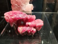 -中国地质博物馆