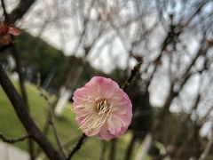 -玉山公园