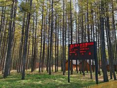 -塞罕坝国家级自然保护区