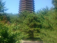 -玲珑塔公园