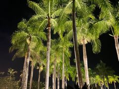 -大堂酒廊·亚龙湾万豪度假酒店