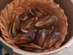 -千岛蚝高压锅生蚝·人参火锅(白云万达店)