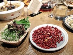 -鸽子窝(青塔店)