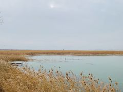 -野鸭湖国家湿地公园