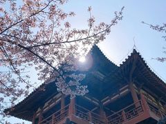 -西安青龙寺遗址景区