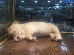 -乐宠宠物店(世纪金源店)