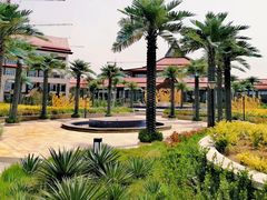 -齐河孔雀王温泉酒店·金孔雀自助百汇