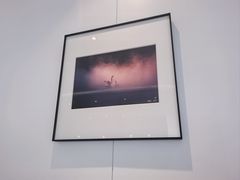 -罗红摄影艺术馆