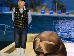 -泉城欧乐堡海洋极地世界