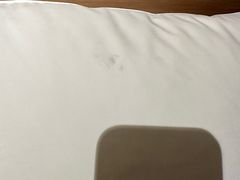 -上海浦东中心万枫酒店