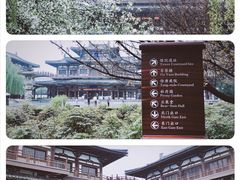 -西安青龙寺遗址景区