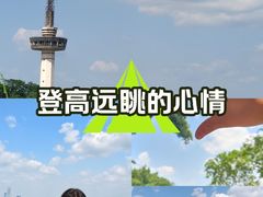 -茶颜悦色(岳麓山顶店)