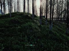 -南京眼步行桥