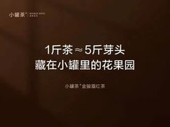 -华祥苑茶馆•国缤茶小蓝罐(普罗旺斯店)
