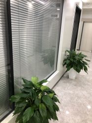 -悟空祛痘·诺奖技术专业店