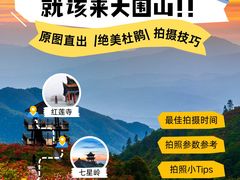 -大围山国家森林公园