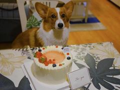 -浮光之丘MontCake生日蛋糕(花牌坊店)