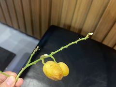 -官塘锋记鱼生·生腌·砂锅粥(牌坊街店)