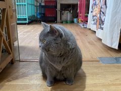 -小时光咖啡馆(开森度假森林店)