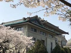 -武汉大学-樱园