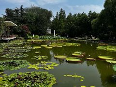 -国家植物园南园