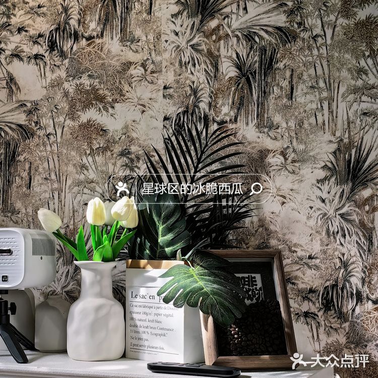 海口探店｜海甸岛这家咖啡店很有家的感觉 温馨安静舒适