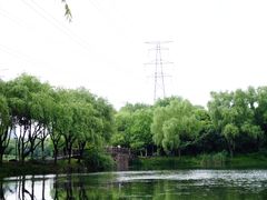 -昆山城市生态森林公园