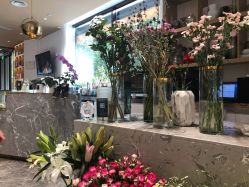 -Dr.U博士医疗美容医院