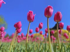 -长春公园(普阳街道)