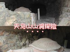 -上海佘山国家森林公园天马山园