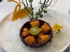 -开海·红岛海鲜虾水饺(石老人店)