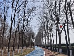 -大兴滨河森林公园