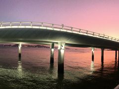 -演武大桥观景平台