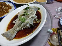 清蒸鲈鱼-同发号饭庄(复兴路店)
