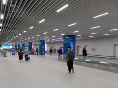 -纪念孙中山市政公园