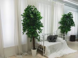 -阳光贝贝家庭影像馆