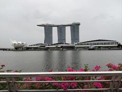 -Killiney Kopitiam(基利尼路67号店)