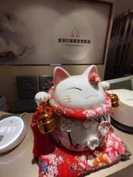 -紫琪尔胸部养护中心