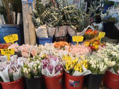 -循礼门鲜花花市(武汉循礼门店)