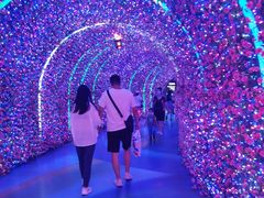 -Famous肥猫墨西哥音乐餐吧(五棵松华熙LIVE店)