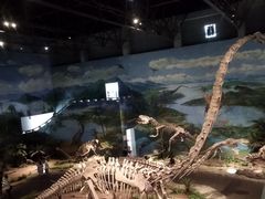 -自贡恐龙博物馆